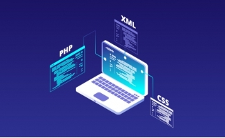 编码与创造 笔记本电脑在软件开发中的矢量艺术呈现